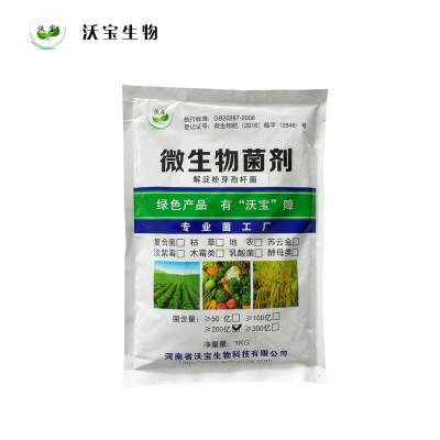 解淀粉芽孢桿菌 多功能生物肥料，賦能綠色農(nóng)業(yè)