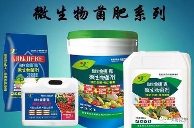 科學(xué)施用菌肥 掌握7大關(guān)鍵注意事項與規(guī)避6大無效原因